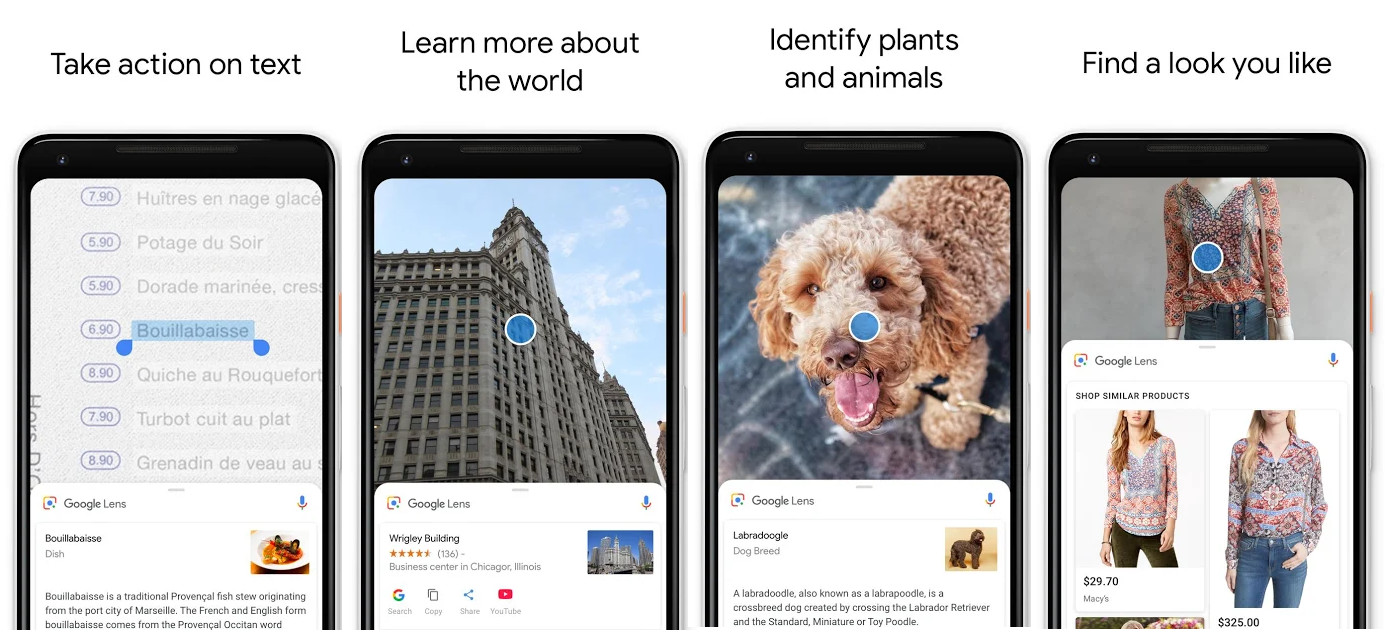 Looking for image recognition app? Here's everything you need