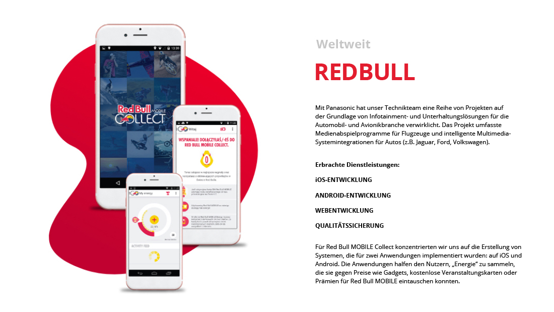 eine kurze Fallstudie, in der das Redbull-Projekt vorgestellt wird